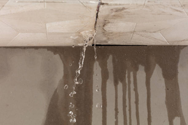 Professional Flood Damage Cleanup technician working in Ringwood, IL